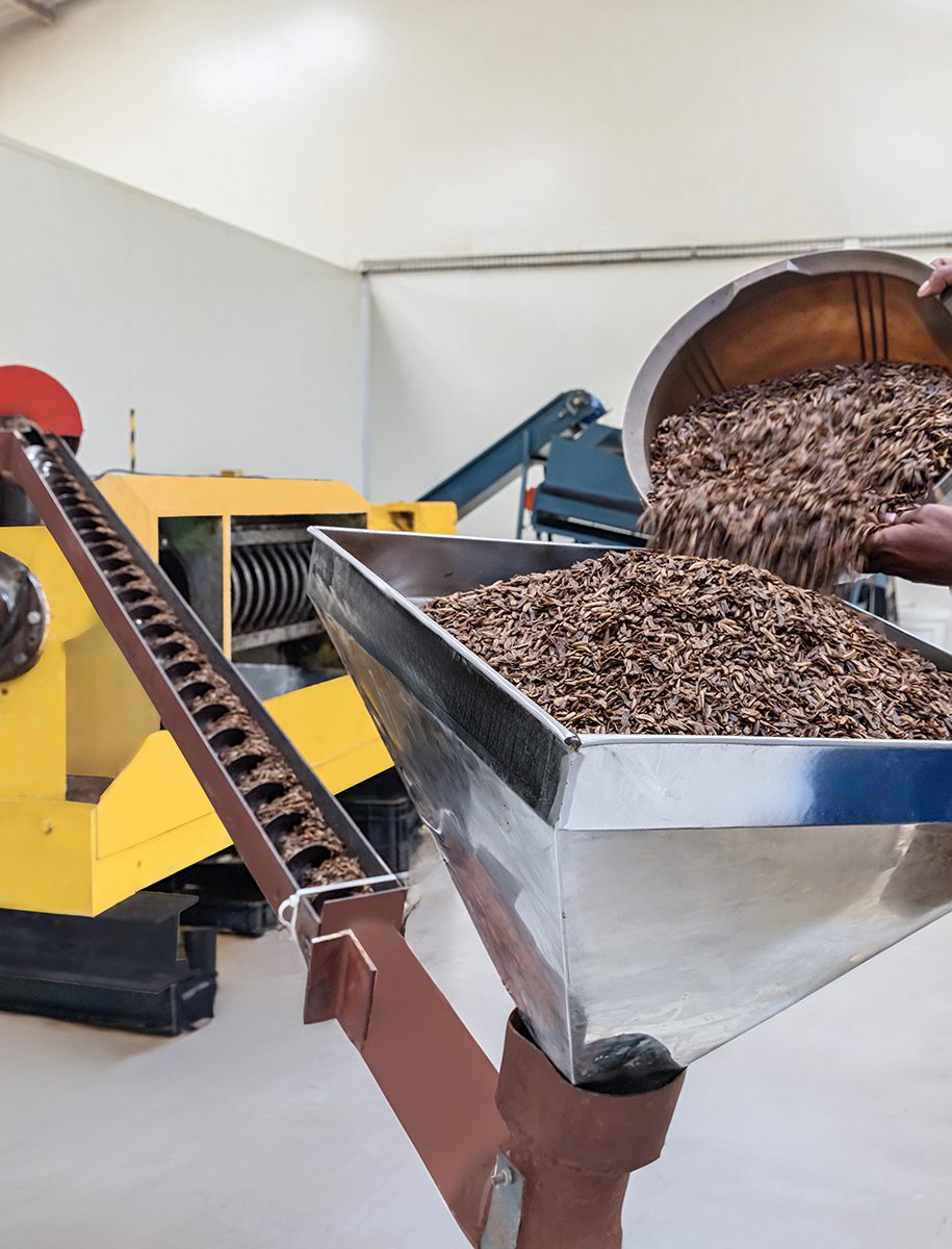 maltento-production-1